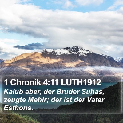 1 Chronik 4:11 LUTH1912 Bible Verse Image