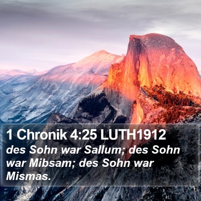 1 Chronik 4:25 LUTH1912 Bible Verse Image