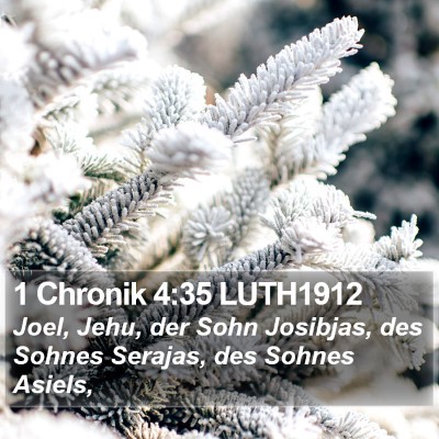 1 Chronik 4:35 LUTH1912 Bible Verse Image