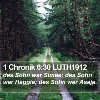 1 Chronik 6:30 LUTH1912 Bible Verse Image