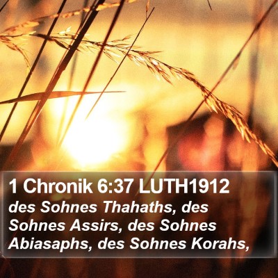 1 Chronik 6:37 LUTH1912 Bible Verse Image