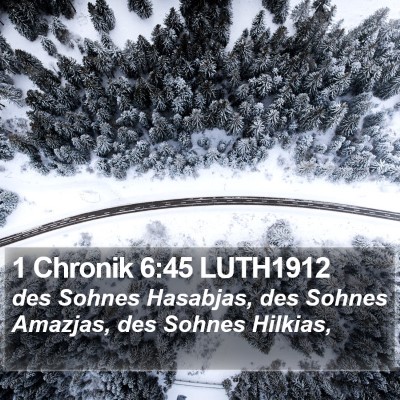 1 Chronik 6:45 LUTH1912 Bible Verse Image