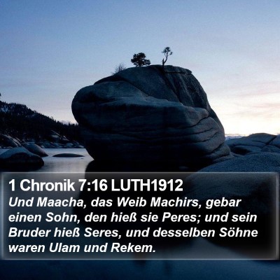 1 Chronik 7:16 LUTH1912 Bible Verse Image
