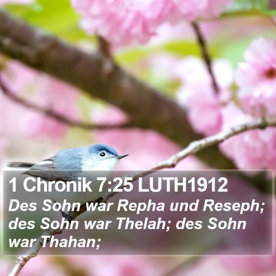 1 Chronik 7:25 LUTH1912 Bible Verse Image