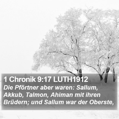 1 Chronik 9:17 LUTH1912 Bible Verse Image