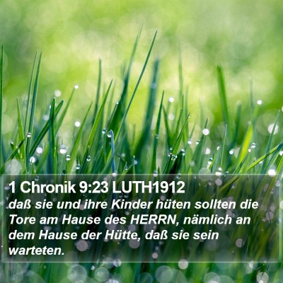 1 Chronik 9:23 LUTH1912 Bible Verse Image