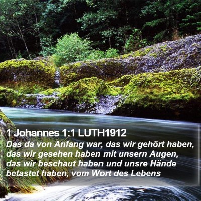 1 Johannes 1:1 LUTH1912 Bible Verse Image