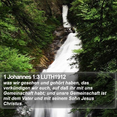 1 Johannes 1:3 LUTH1912 Bible Verse Image