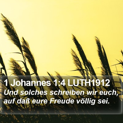 1 Johannes 1:4 LUTH1912 Bible Verse Image