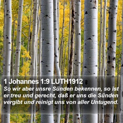1 Johannes 1:9 LUTH1912 Bible Verse Image