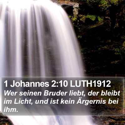 1 Johannes 2:10 LUTH1912 Bible Verse Image
