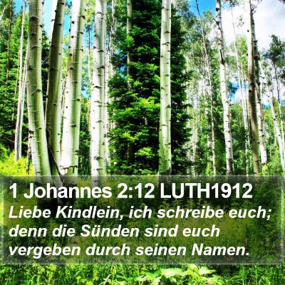 1 Johannes 2:12 LUTH1912 Bible Verse Image