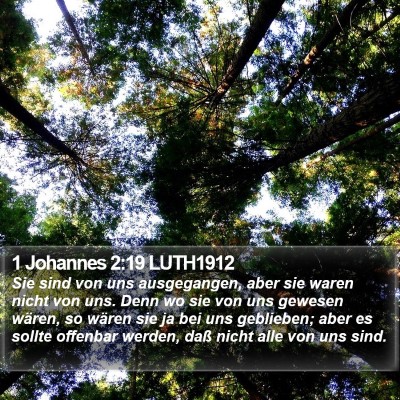 1 Johannes 2:19 LUTH1912 Bible Verse Image