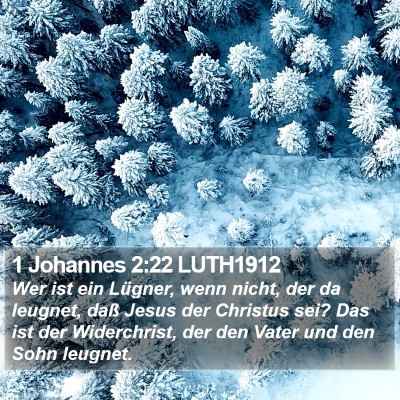 1 Johannes 2:22 LUTH1912 Bible Verse Image