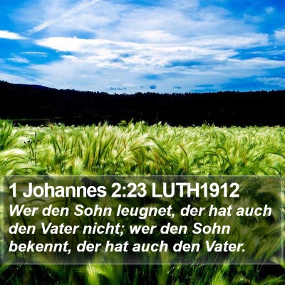 1 Johannes 2:23 LUTH1912 Bible Verse Image