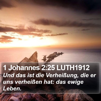 1 Johannes 2:25 LUTH1912 Bible Verse Image