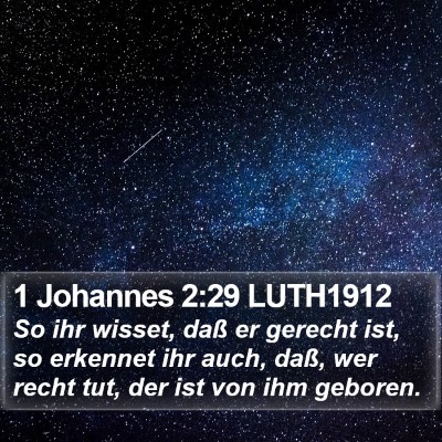 1 Johannes 2:29 LUTH1912 Bible Verse Image