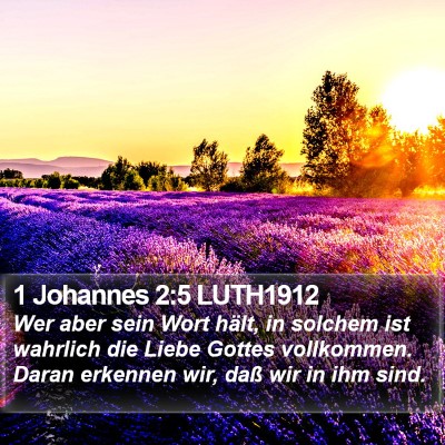 1 Johannes 2:5 LUTH1912 Bible Verse Image