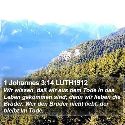 1 Johannes 3:14 LUTH1912 Bible Verse Image