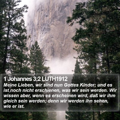 1 Johannes 3:2 LUTH1912 Bible Verse Image
