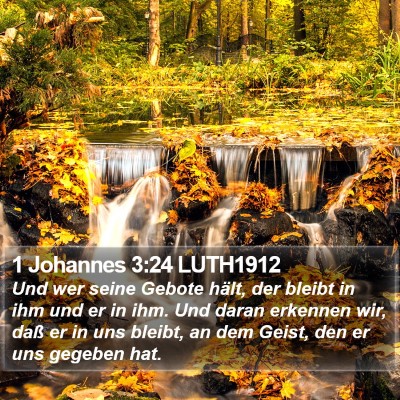 1 Johannes 3:24 LUTH1912 Bible Verse Image