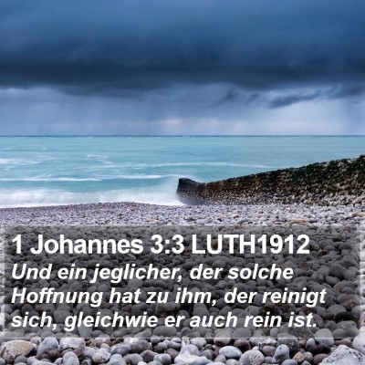 1 Johannes 3:3 LUTH1912 Bible Verse Image