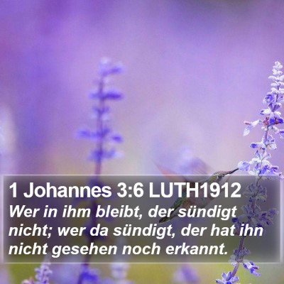 1 Johannes 3:6 LUTH1912 Bible Verse Image