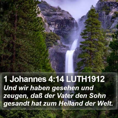 1 Johannes 4:14 LUTH1912 Bible Verse Image