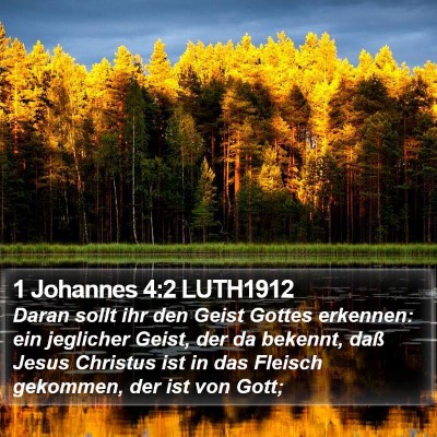 1 Johannes 4:2 LUTH1912 Bible Verse Image