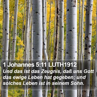 1 Johannes 5:11 LUTH1912 Bible Verse Image