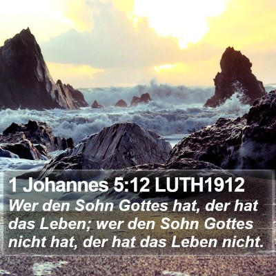 1 Johannes 5:12 LUTH1912 Bible Verse Image