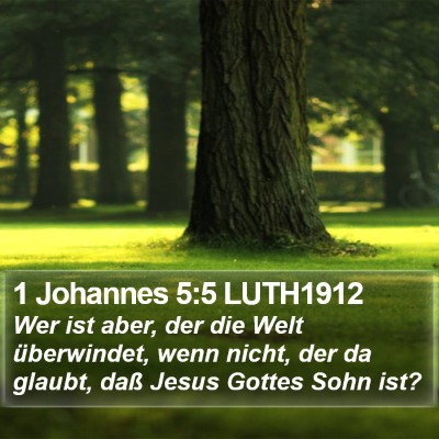 1 Johannes 5:5 LUTH1912 Bible Verse Image