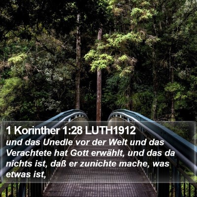 1 Korinther 1:28 LUTH1912 Bible Verse Image