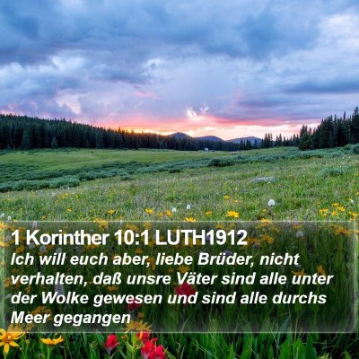 1 Korinther 10:1 LUTH1912 Bible Verse Image