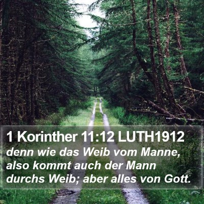 1 Korinther 11:12 LUTH1912 Bible Verse Image