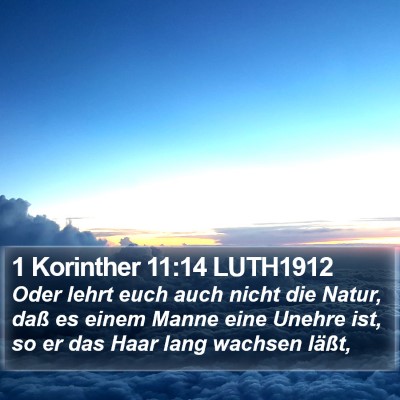 1 Korinther 11:14 LUTH1912 Bible Verse Image
