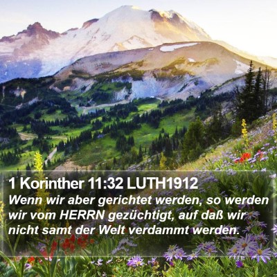 1 Korinther 11:32 LUTH1912 Bible Verse Image