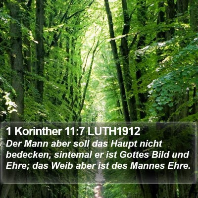 1 Korinther 11:7 LUTH1912 Bible Verse Image