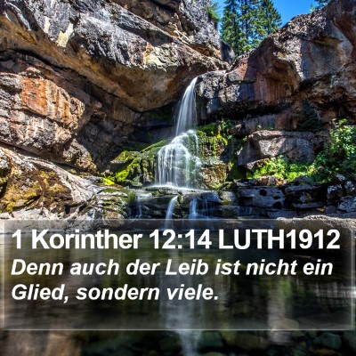 1 Korinther 12:14 LUTH1912 Bible Verse Image