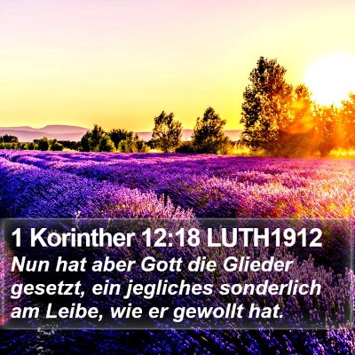 1 Korinther 12:18 LUTH1912 Bible Verse Image