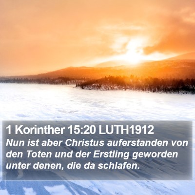 1 Korinther 15:20 LUTH1912 Bible Verse Image