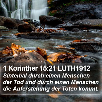 1 Korinther 15:21 LUTH1912 Bible Verse Image