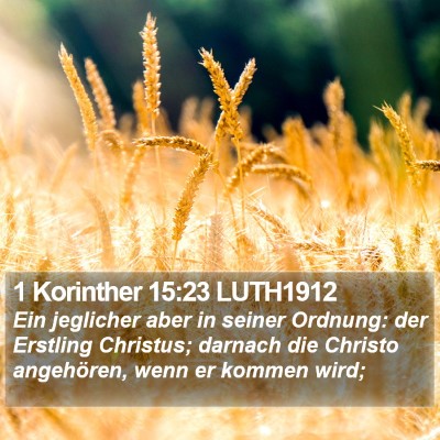 1 Korinther 15:23 LUTH1912 Bible Verse Image