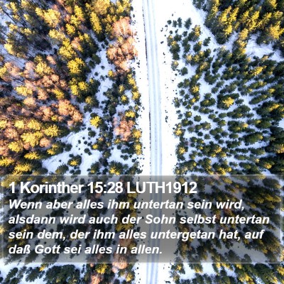 1 Korinther 15:28 LUTH1912 Bible Verse Image