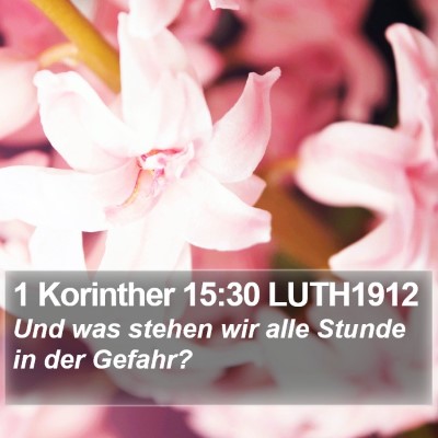 1 Korinther 15:30 LUTH1912 Bible Verse Image