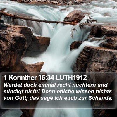1 Korinther 15:34 LUTH1912 Bible Verse Image