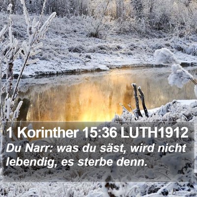 1 Korinther 15:36 LUTH1912 Bible Verse Image
