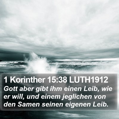 1 Korinther 15:38 LUTH1912 Bible Verse Image