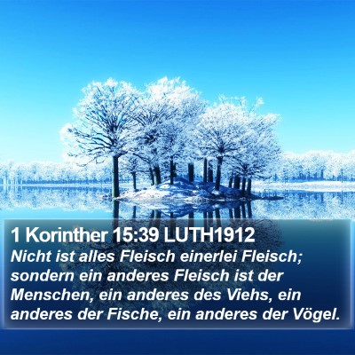 1 Korinther 15:39 LUTH1912 Bible Verse Image