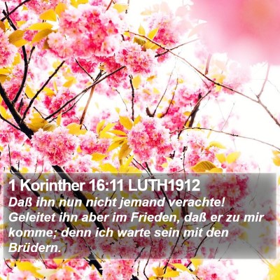 1 Korinther 16:11 LUTH1912 Bible Verse Image